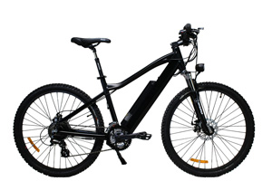 Cruise ebike with black paint